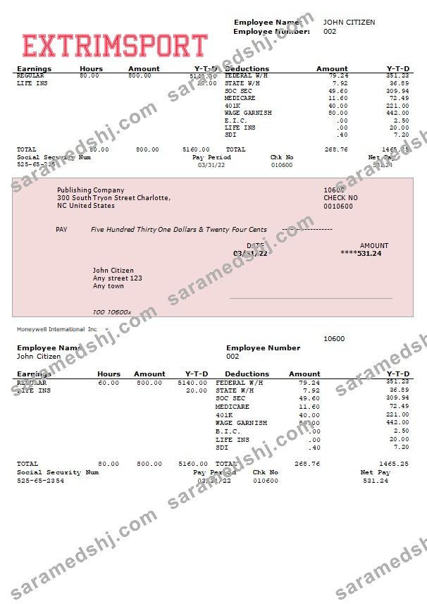extrim sport company fully editable earning statement in Word and PDF formats